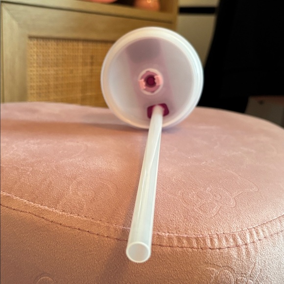 30 oz Stanley - Cherry Blossom - Picture 9 of 10